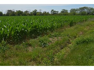 Property photo 128 - LAND AUCTION - 215+/- ACRES OFFERED IN 6 TRACTS IN VAN WERT COUNTY, OHIO